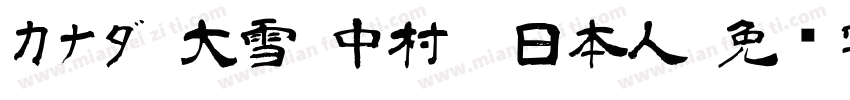 カナダ 大雪 中村　日本人字体转换